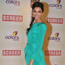 Celebs at 18th Annual Colors Screen Awards